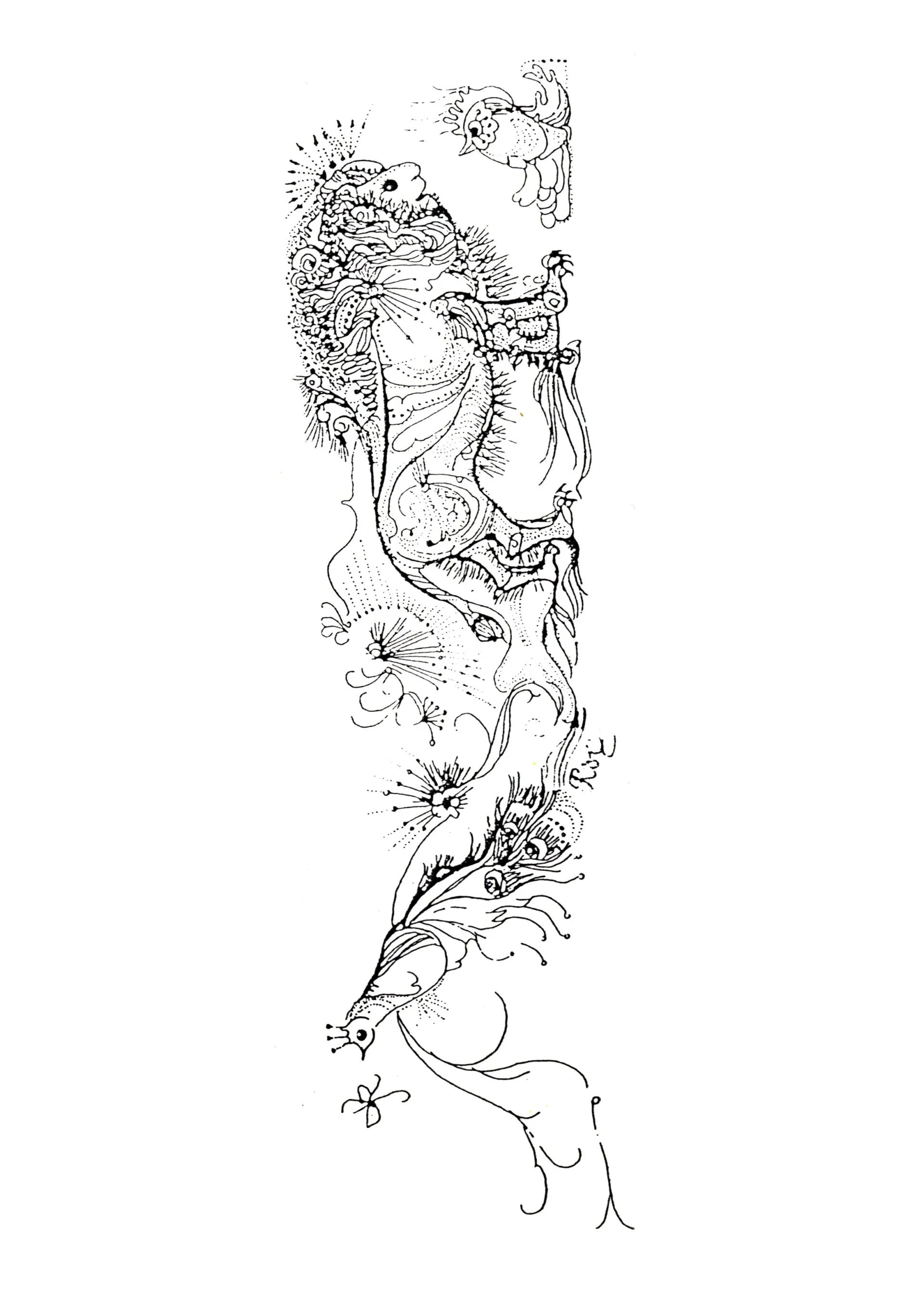 5er Postkarten-Set – Doc Lurchs Tinten-Träumereien (25 Karten)